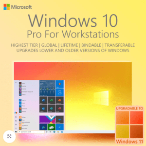 Windows 10 Pro - workstattion - 1pc