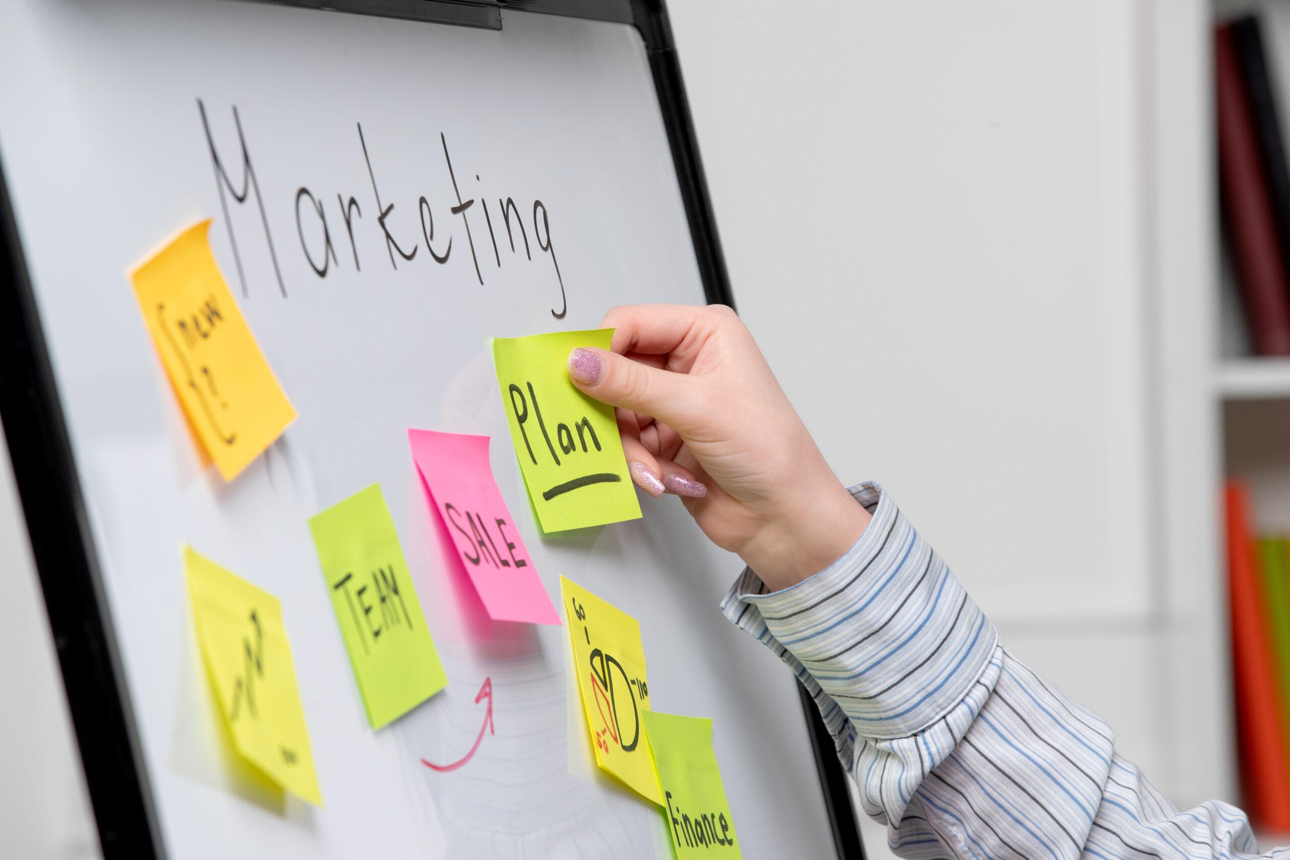 Make an Amazon Affiliate Marketing Website – Step by Step Training