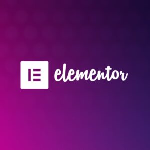 Elementror - The WordPress Website Builder Course