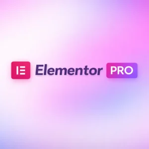 Elementor Pro - Advanced Solo | For a professional website with advanced features